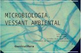 Microbiologia (Vessant Ambiental)  Estades Argó 2014-2015 a la UAB, fet per: Núria Gumà i Luis Casado