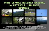 Ornitofauna Reserva natural la patasola