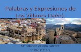 Palabras y expresiones de los villares (jaén) arjona cabrera mª yolanda 1º bto c.c.s.s