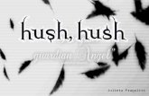 Hush hush power point