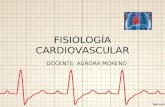 Fisiología del Sistema Cardiovascular