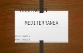 Vegetación mediterránea