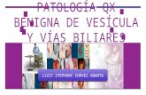 Patologia benigna de la vesícula biliar y vias biliares