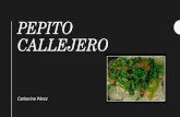 Pepito Callejero de Vegetales con Tortillas de Huevo