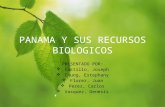EstephanyChung Geografia12B Proyecto Trimestral-Panama y sus Recursos Biologicos