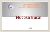 Mucosa bucal 2015