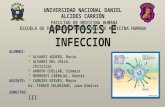Infeccion y apoptosis