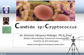 Candida y criptococosis micro 14
