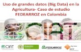 Uso de grandes datos (Big Data) en la Agricultura- Caso de estudio FEDEARROZ en Colombia