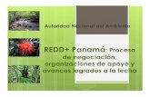 REDD Panama 2011 - Félix Magallón / REDD+ Panamá