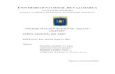 Informe practico  geologia del peru-Salida a Balsas