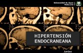 Hipertension edocraneana UdeSucre