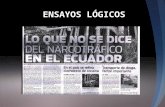 8.  titular diario hoy narcotráfico