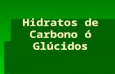 Hidratos de carbono