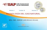 Ayuda 5 Usos Del Gas Natural en El Transporte