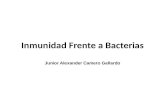 Inmunidad Frente a Bacterias