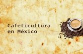 Cafeticultura en México.pptx