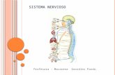 9 Sistema Nervioso2 (1)