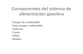 Componentes Del Sistema de Alimentación Gasolina