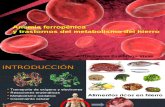 Anemia ferropénica.pptx