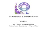 Eneagrama y Terapia Floral Módulo 3