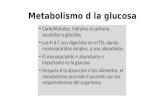 Glucosa UTPL Copy