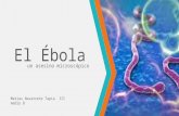 El Ébola presentacion