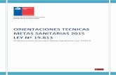 Orientaciones Técnicas Metas Ley 19813 Del 2015