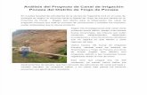 Análisis Del Proyecto de Canal de Irrigación Ponaza Del Distrito de Tingo de Ponaza