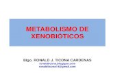 Metabolismo de Xenobioticos