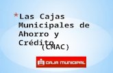 Las Cajas Municipales de Ahorro y Crédito