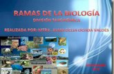 Ramas de La Biología y División Taxonómica