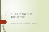 Micro Proyectos Turisticos