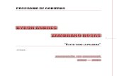 Programa de Gobierno Byron Andres Zambrano Rosas 2016-2019
