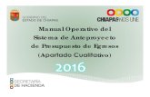 Manual SAPE 2016