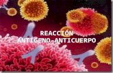 Reacción Antígeno-Anticuerpo