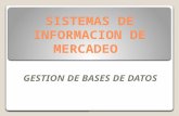 Anexo 2 Presentaciones Gestión de La Información.