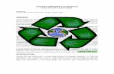 Eco Eficiencia y Producción Mas Limpia (2)