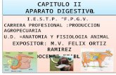 APARATO CIRCULATORIO (2)d