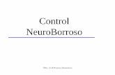 Neuro fuzzy control, general concepts