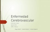 Enfermedad Cerebrovascular Extracraneal Agosto 2015