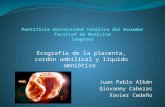 Imágenes Placenta