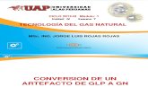 AYUDA7 CONVERSION DE GLP A GN.pdf