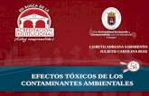 Exposicionefectos Toxicos Contaminantes Ambientales