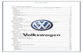 Grupo VW México y La Economía Mexicana2