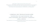 Informe Lineas de Investigacion 2010 (Correciones)