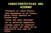 CARACTERÍSTICAS DEL HIERRO