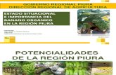 Estado Situacional e Importancia Del Banano Orgánico en Piura