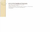 fotosíntesis biolo celular.pdf