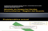 MODELO DE NEGOCIOS VERDES COMUNITARIOS -REGION DEL GUAVIO.pdf